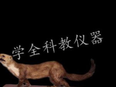 動物標(biāo)本