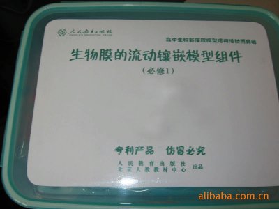供應(yīng)生物教學(xué)器材細(xì)胞膜流動鑲嵌模型